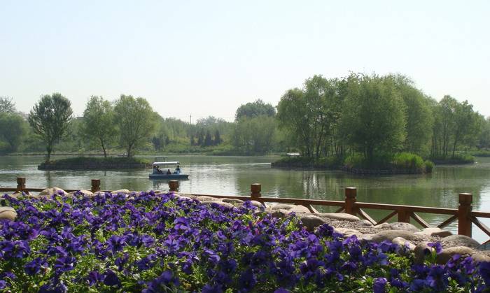 DSC04414_С.JPG