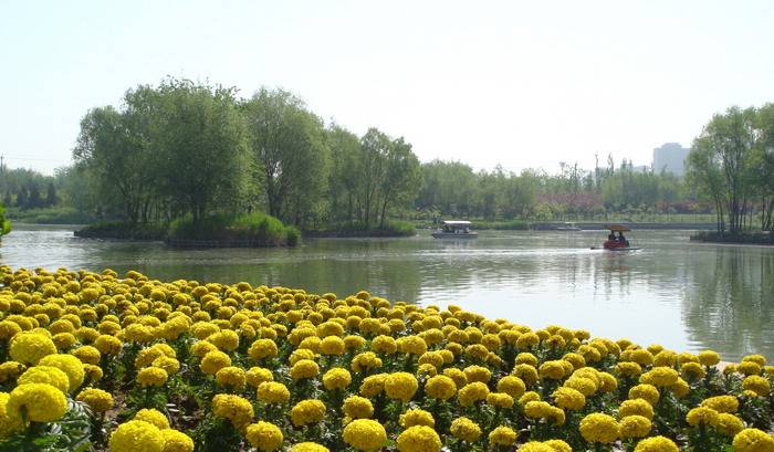 DSC04418_С.JPG