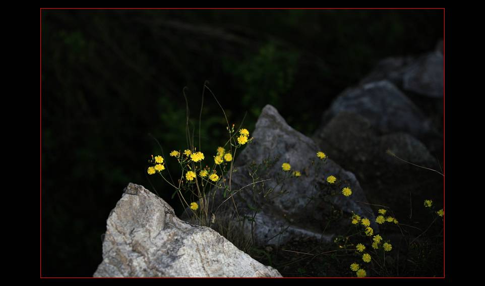 _MG_8058.jpg