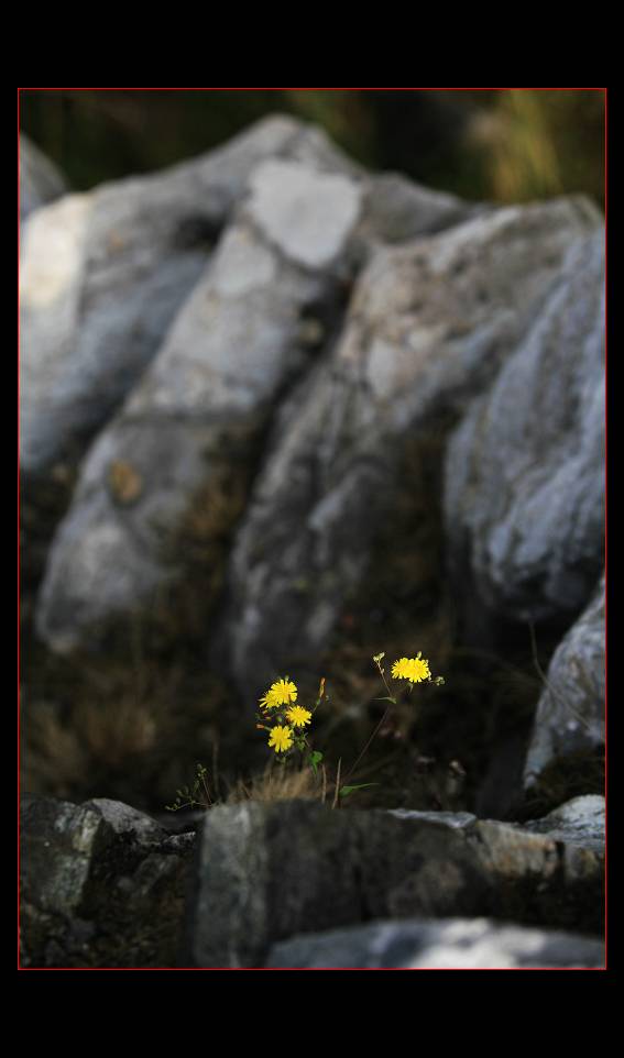 _MG_8062.jpg