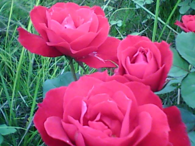 200842617542432508.jpg
