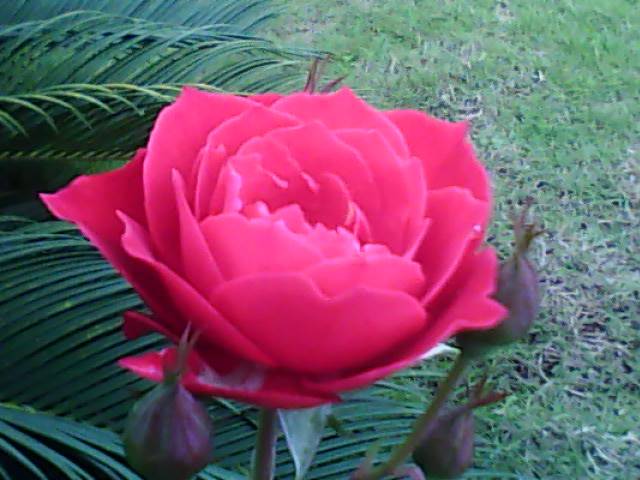 200842617542434357.jpg