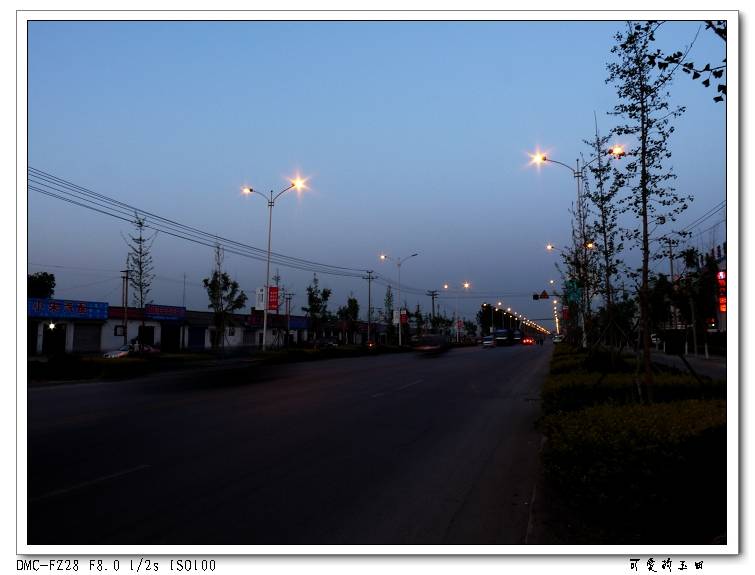 P1000875.jpg