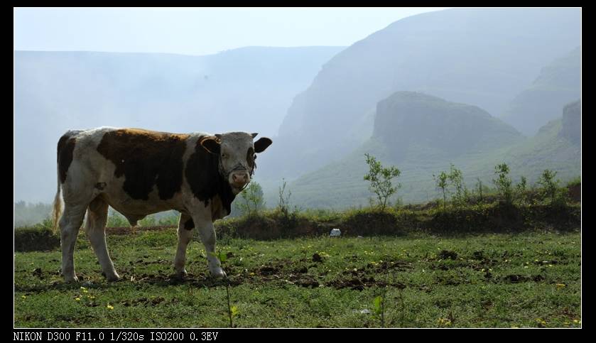 _DSC700040.jpg