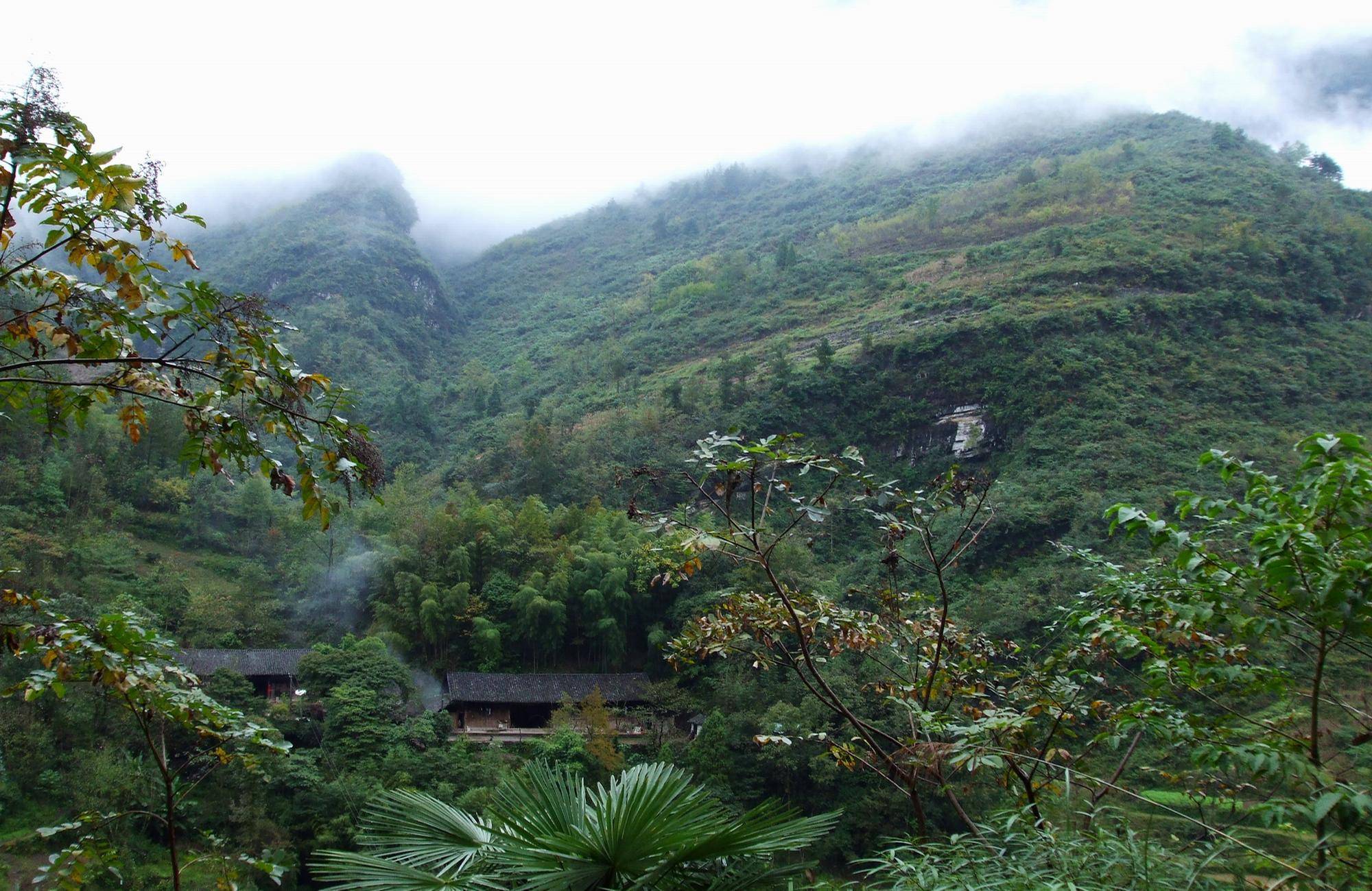 DSCF1431.JPG