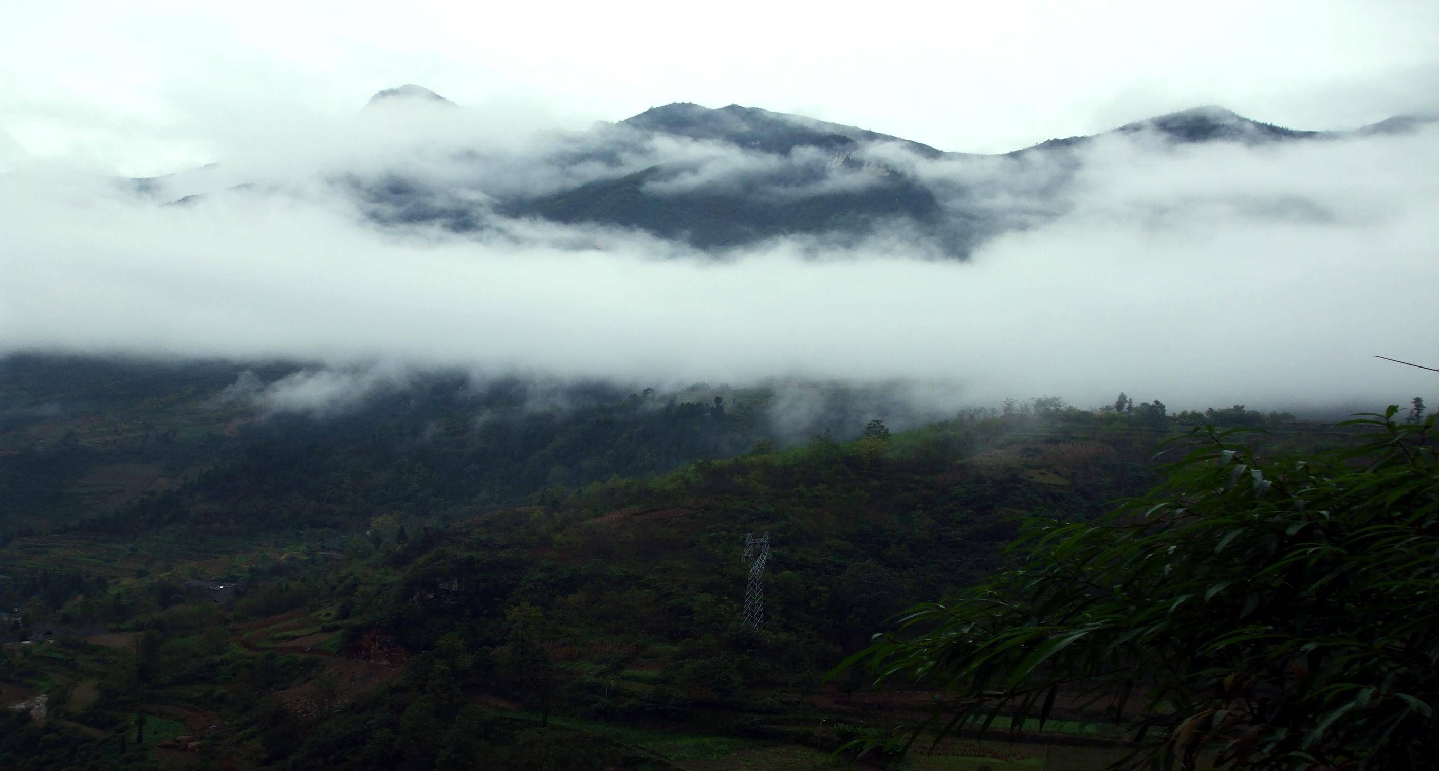 DSCF1457.JPG