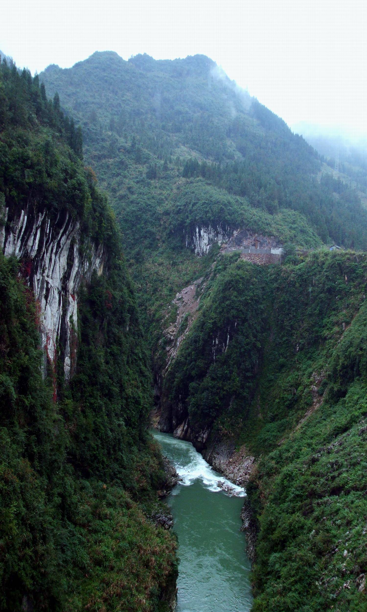 DSCF1503.JPG