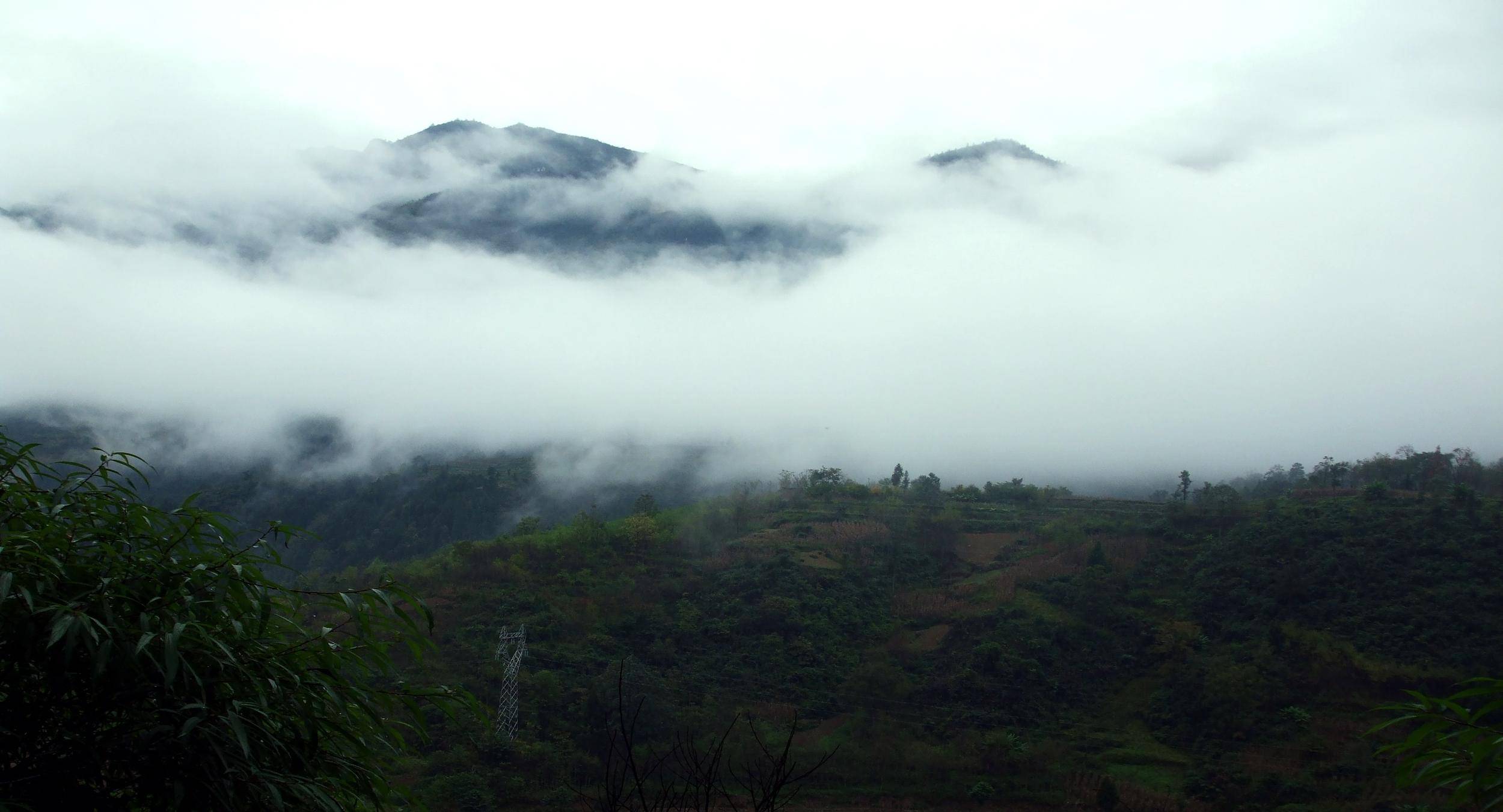 DSCF1463.JPG