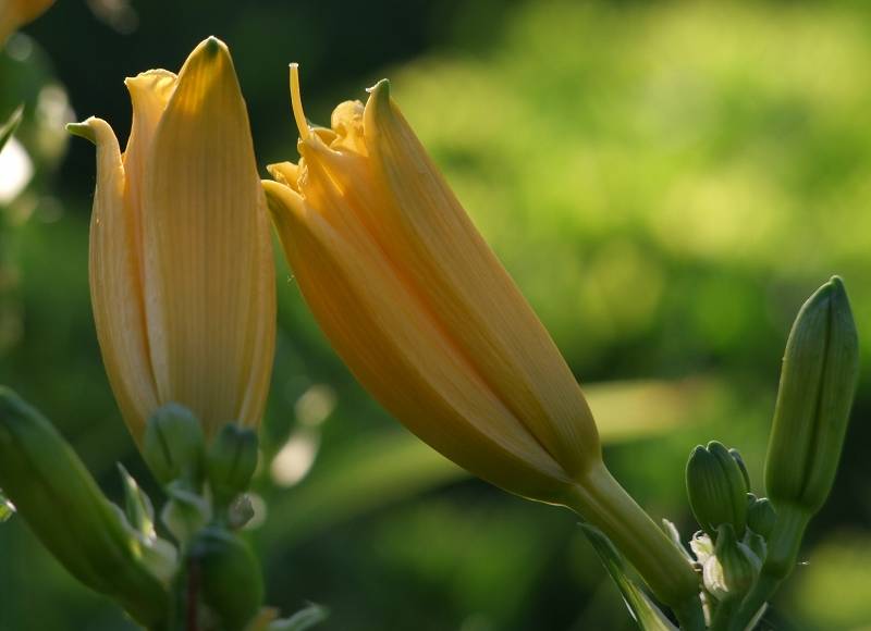 DSCF1095  3.jpg
