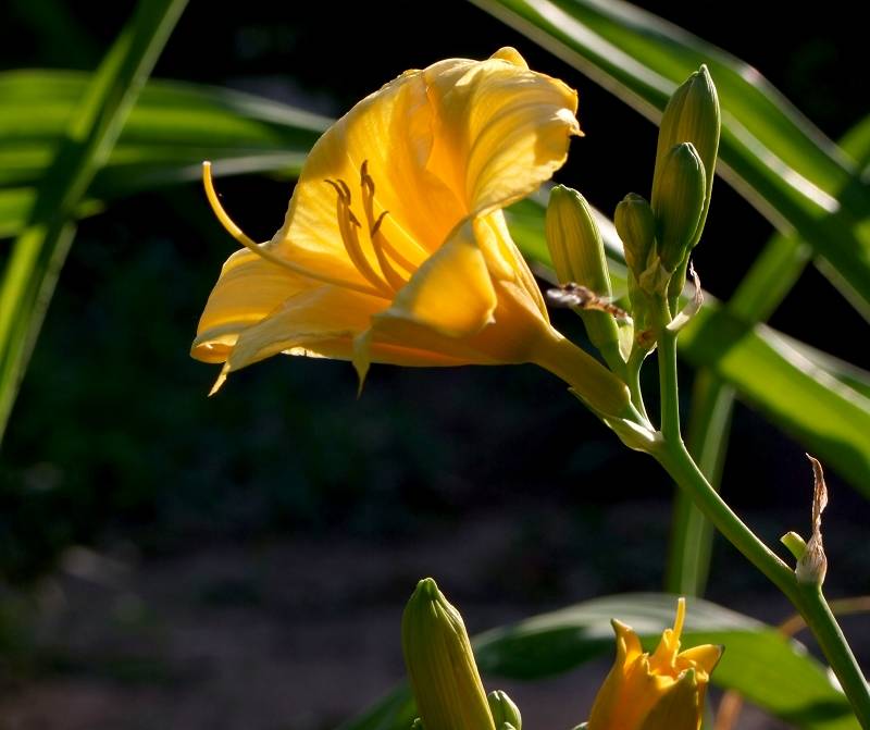 DSCF1087 1.jpg