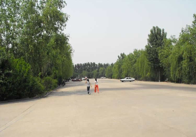 DSCF0310.JPG