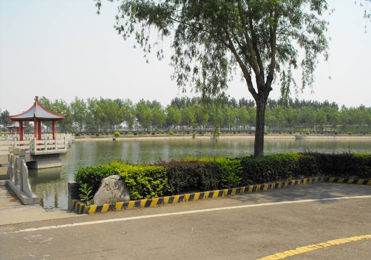 DSCF0309.JPG