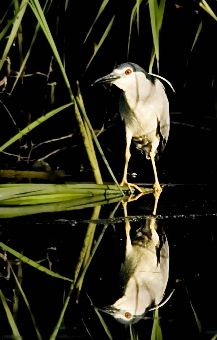 DSC_6002.jpg
