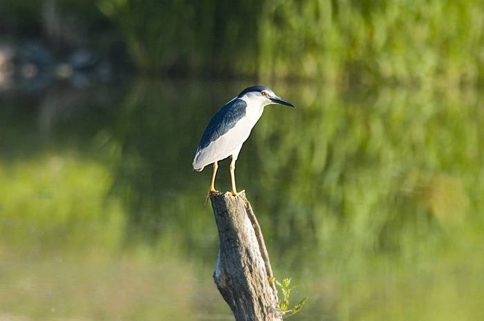 DSC_6032.jpg