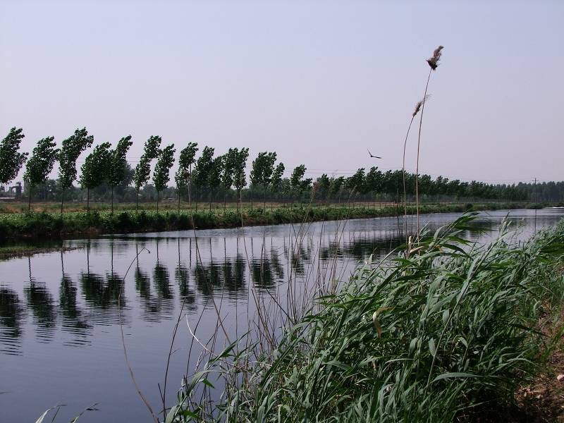 DSCF2282 1.jpg