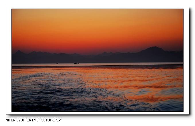 DSC_7936.jpg