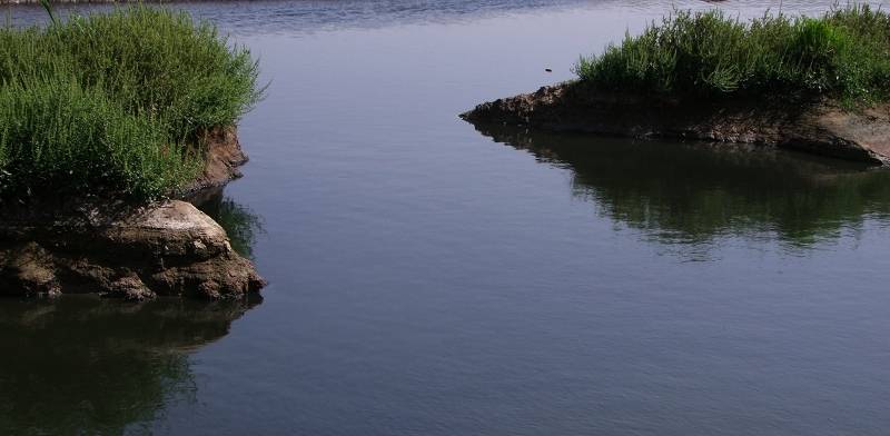 DSCF2222 1.jpg