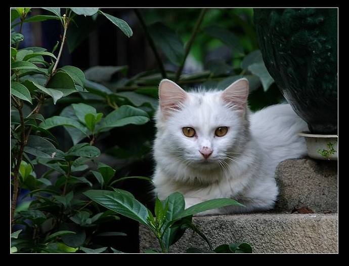 DSC_0984_conew1.jpg
