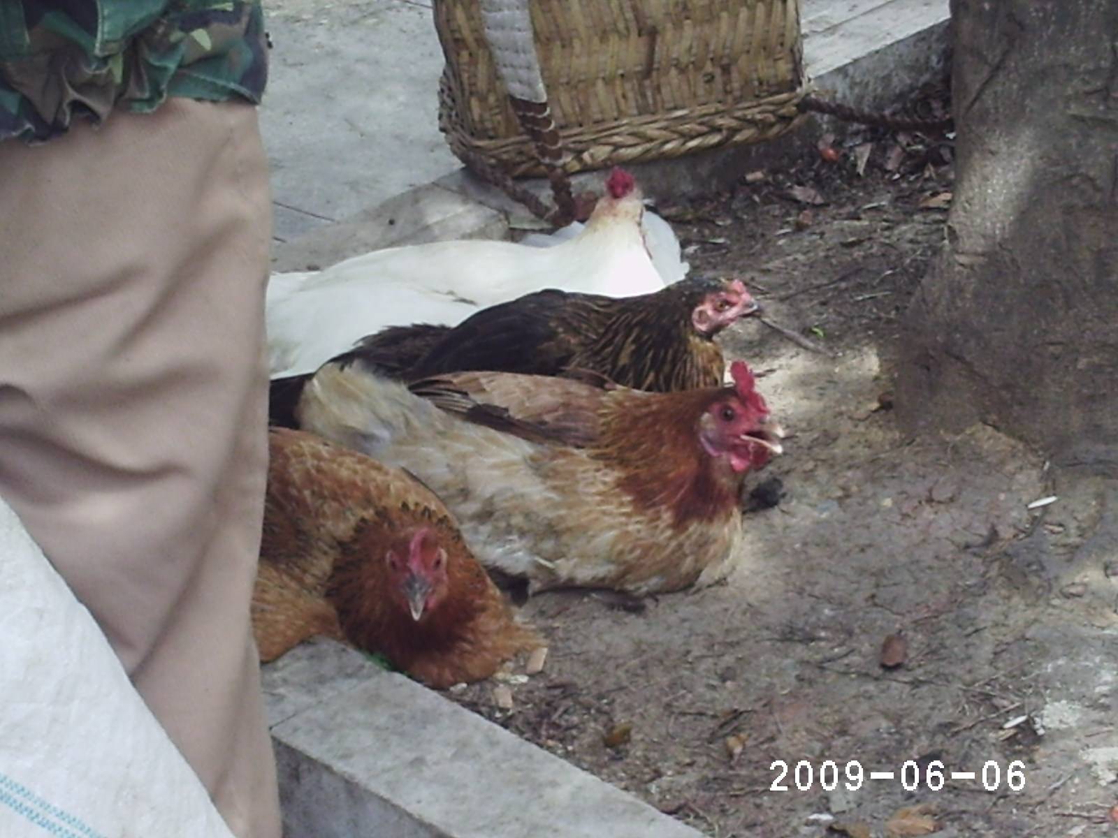 PHOT0091.JPG