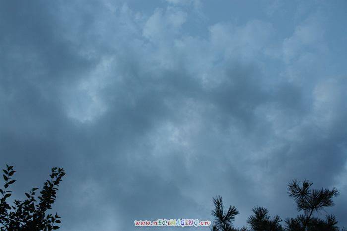 IMG_9355.JPG