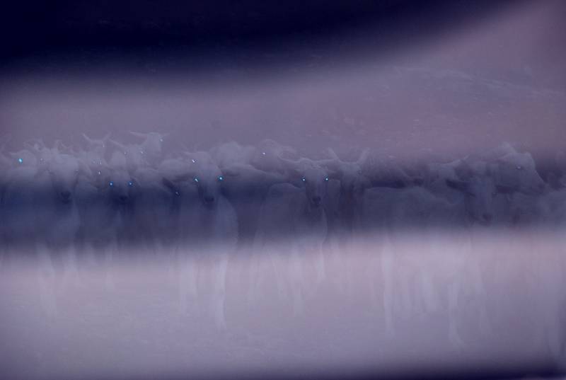 DSC_0039.JPG