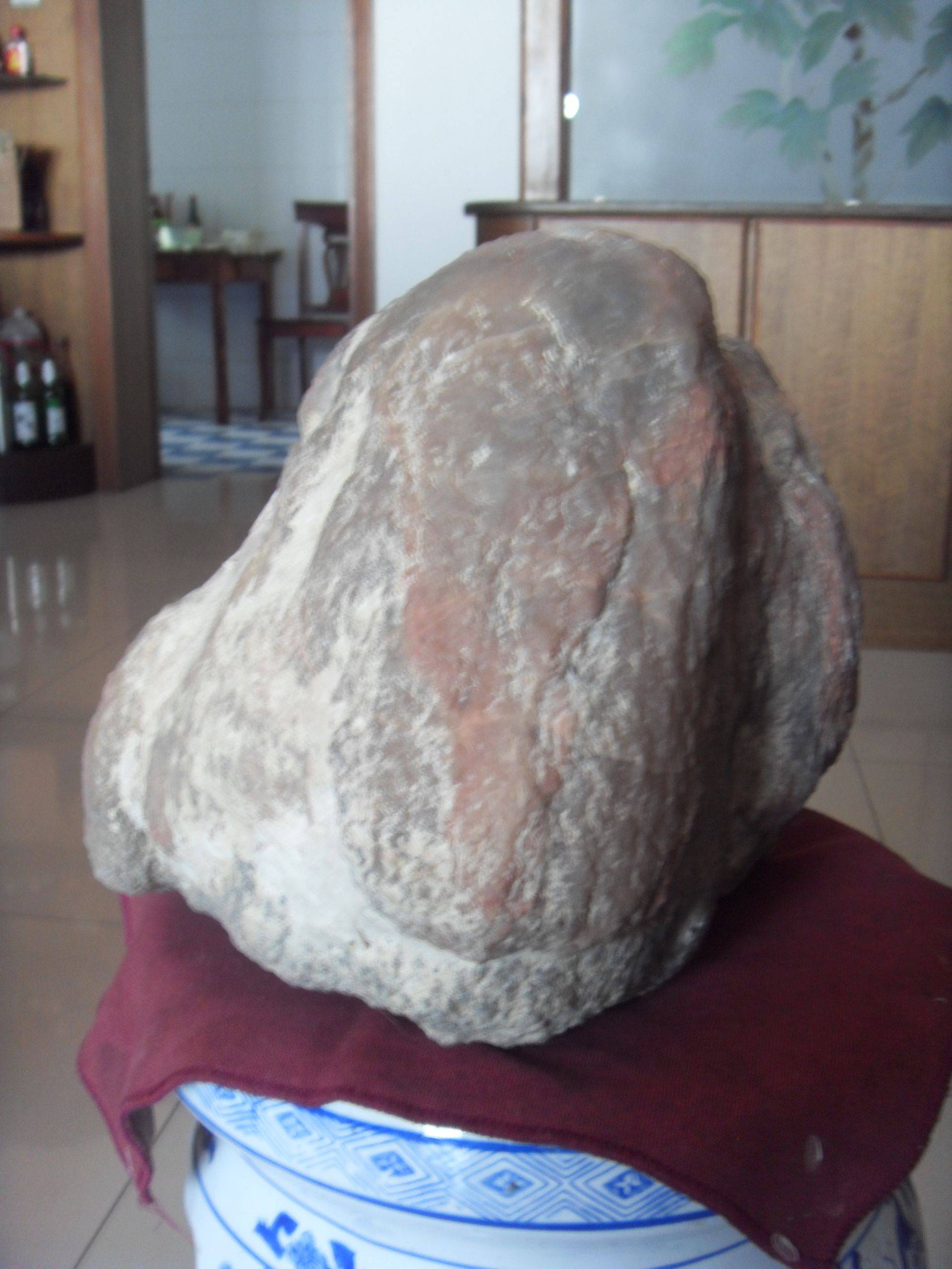 SDC10325.JPG