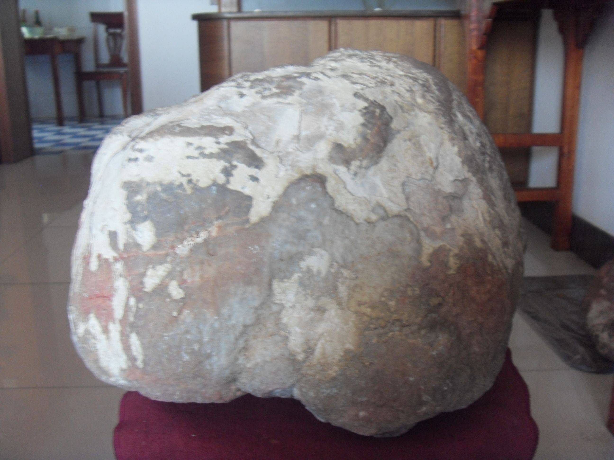 SDC10323.JPG