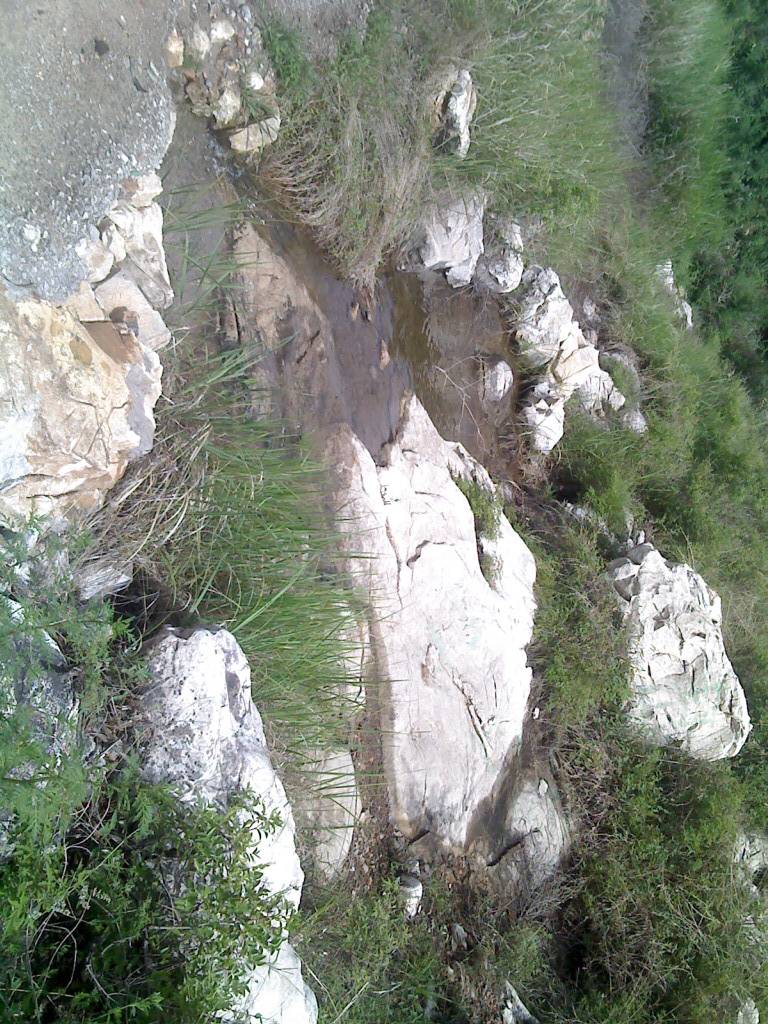 0620_095126.jpg