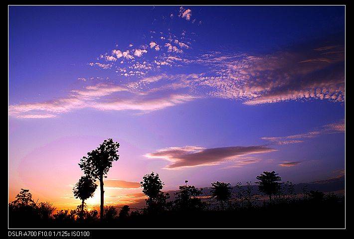 DSC00263.JPG
