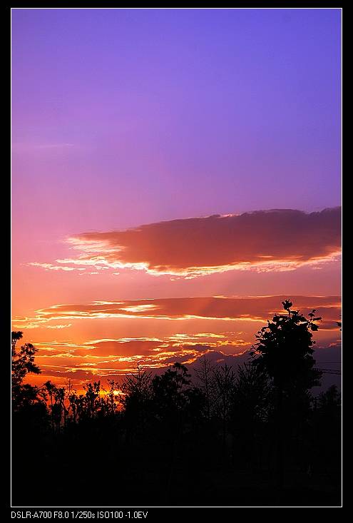 DSC00275.JPG