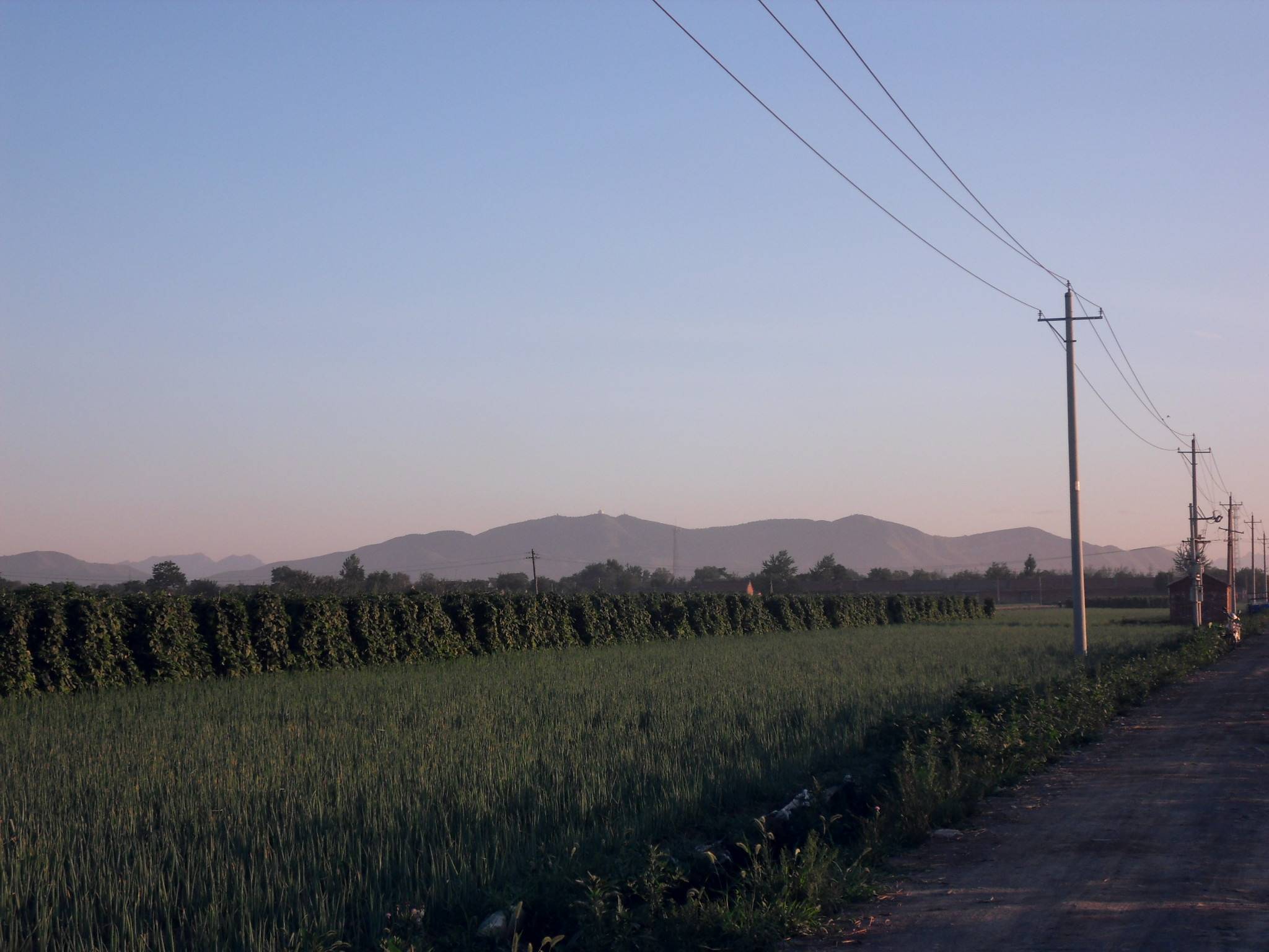 SDC10090.JPG