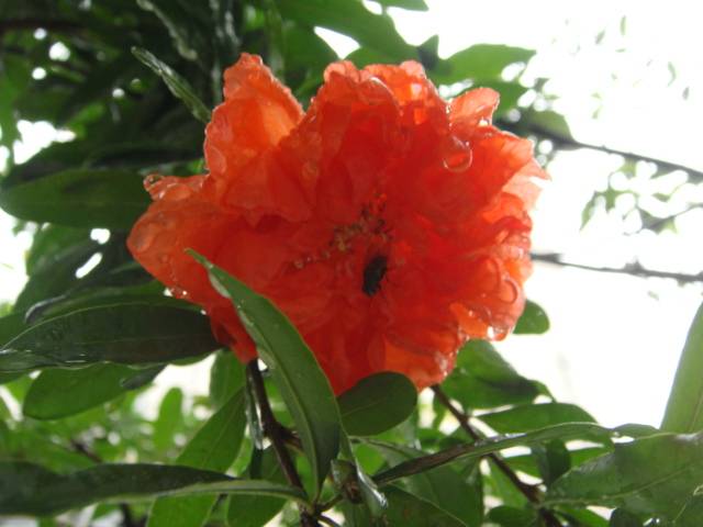 DSC01670.JPG
