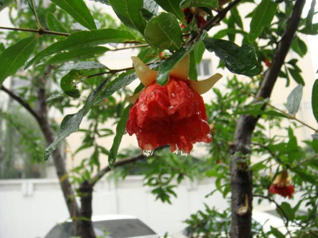 DSC01665.JPG