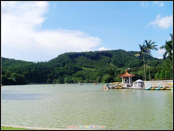 SL374578.jpg