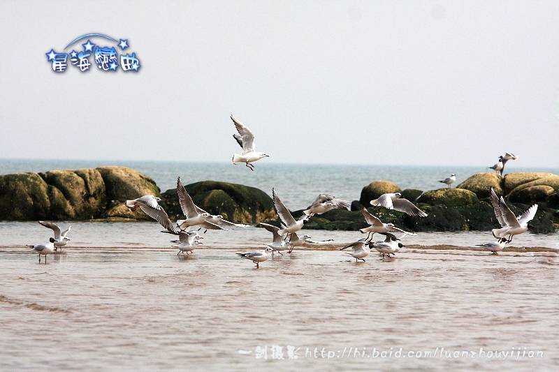 IMG_6416a.JPG