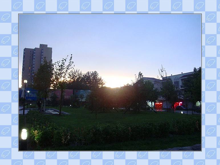 DSC02287_conew1.JPG