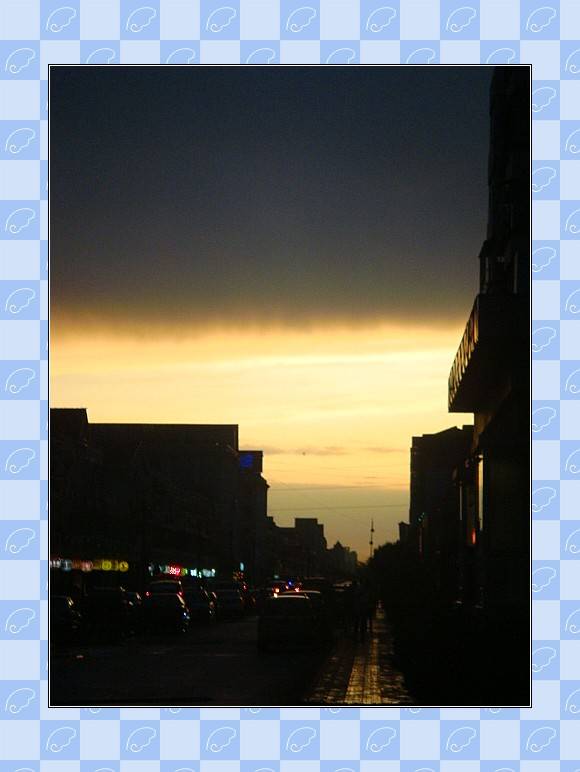 DSC02286_conew1.JPG