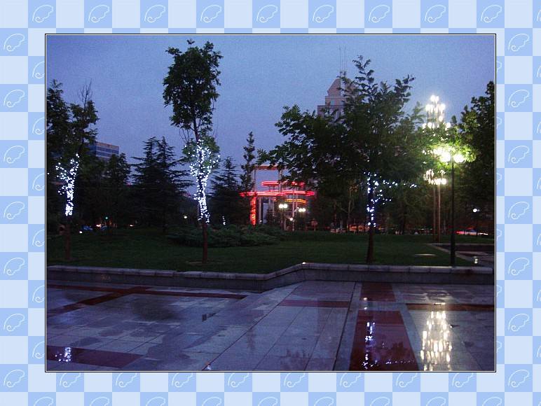 DSC02290_conew1.JPG