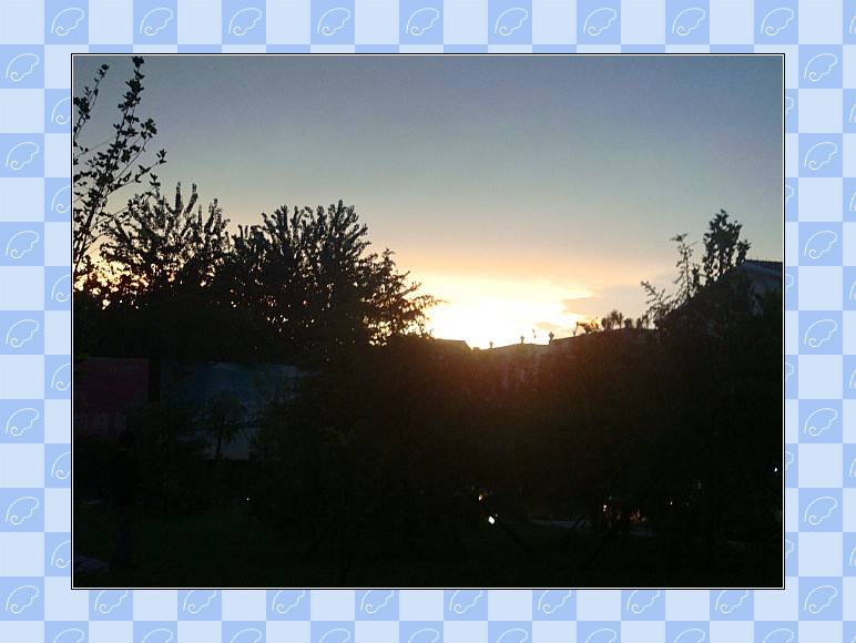 DSC02288_conew1.JPG