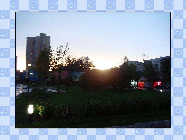 DSC02289_conew1.JPG