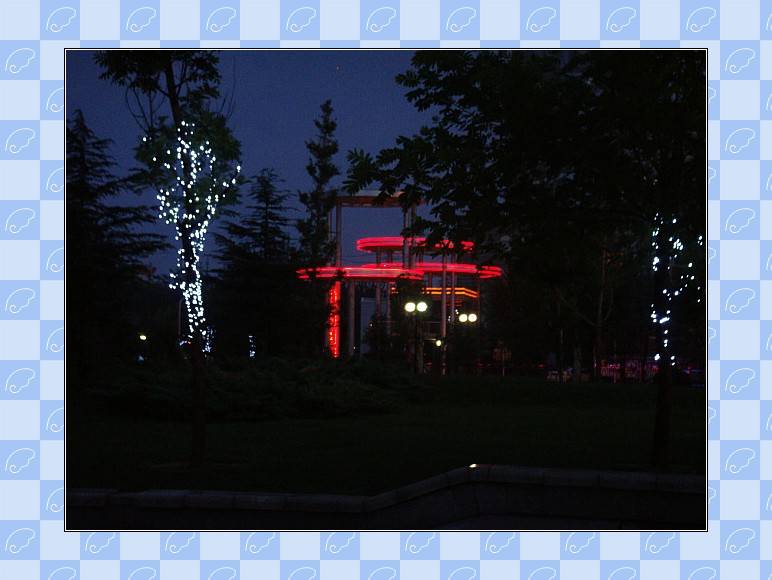 DSC02291_conew1.JPG