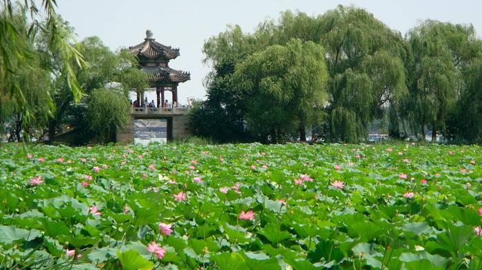 DSC05953_С.JPG