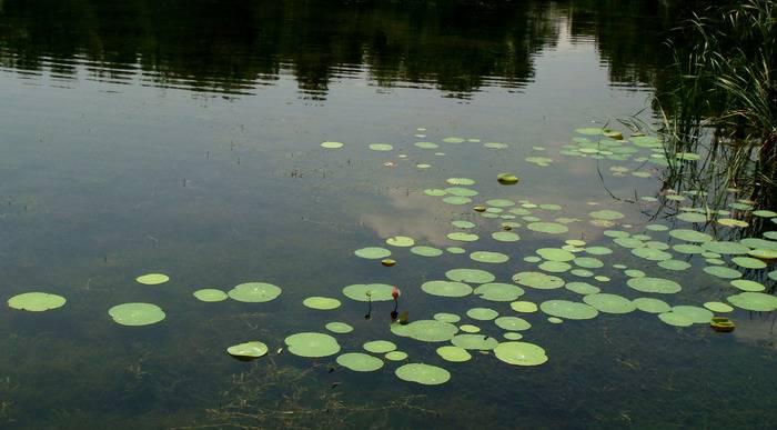 DSC05960_С.JPG