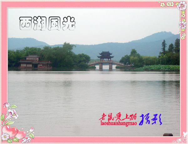 DSCN6950.jpg