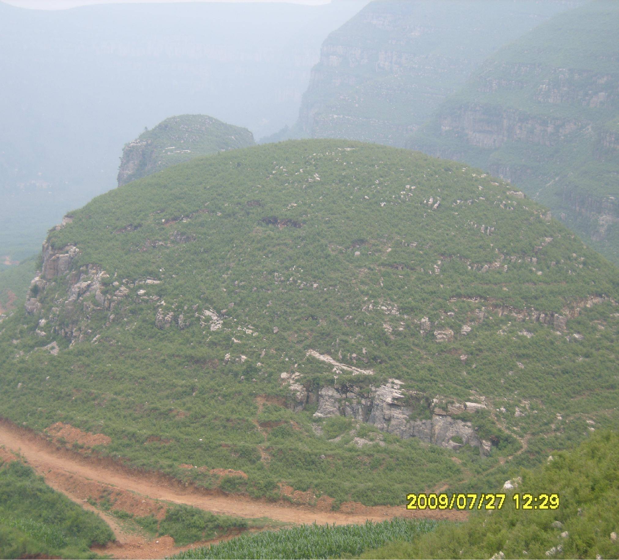 S1035925.JPG