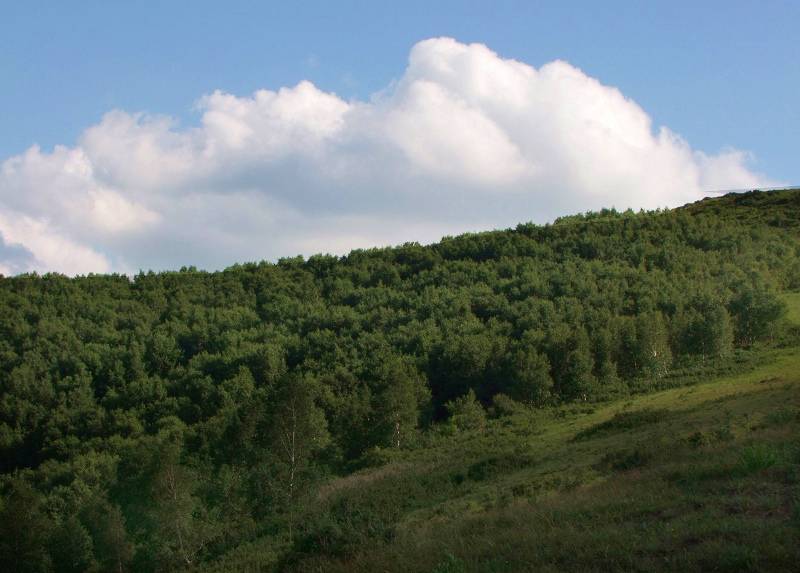 DSCF7594. 5.jpg