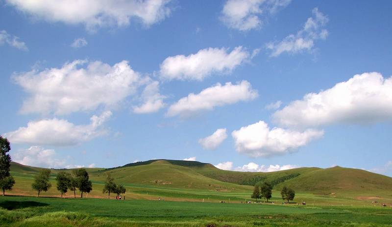 DSCF7520. 4.jpg