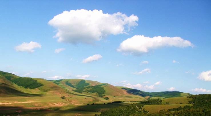 DSCF7593  10.jpg