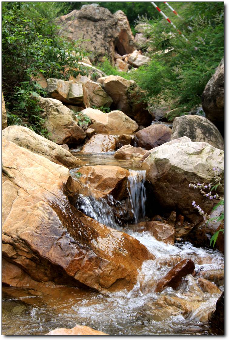 2009_07_29_0730.jpg