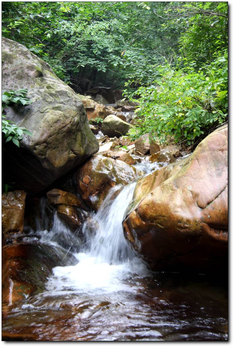 2009_07_29_0775.jpg
